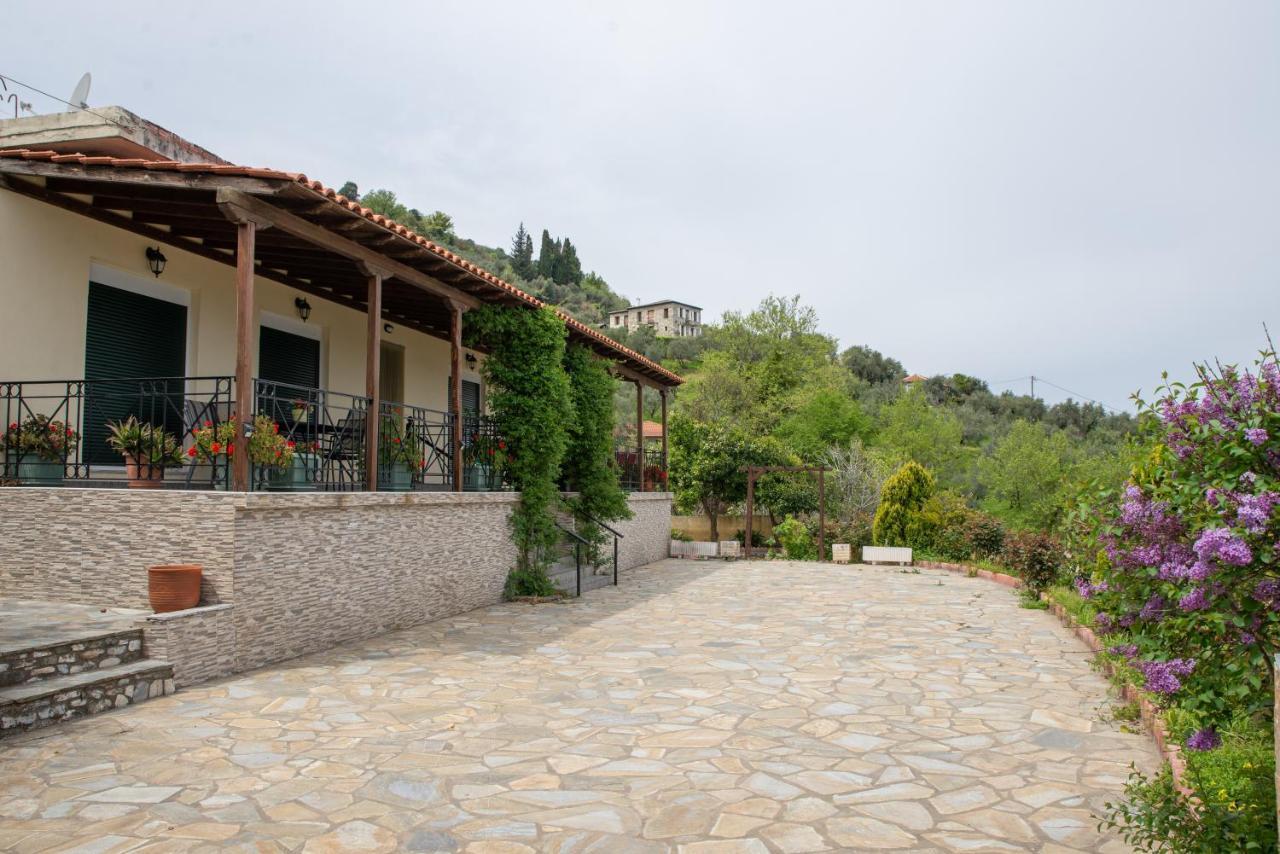 Villa Eleni's House Chorefto *
