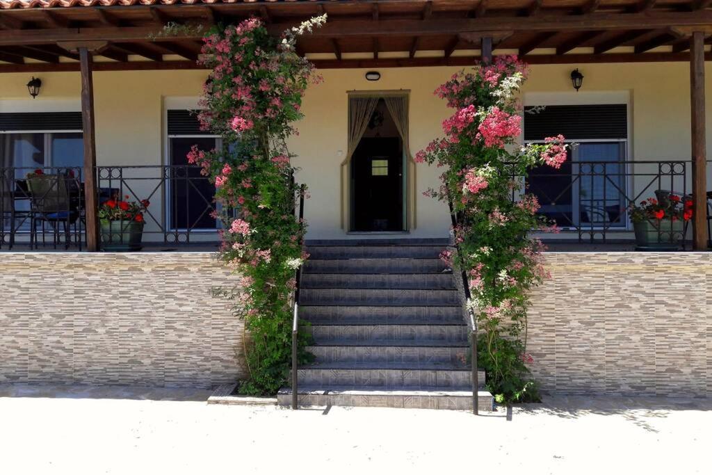 Eleni's House Chorefto Zagora