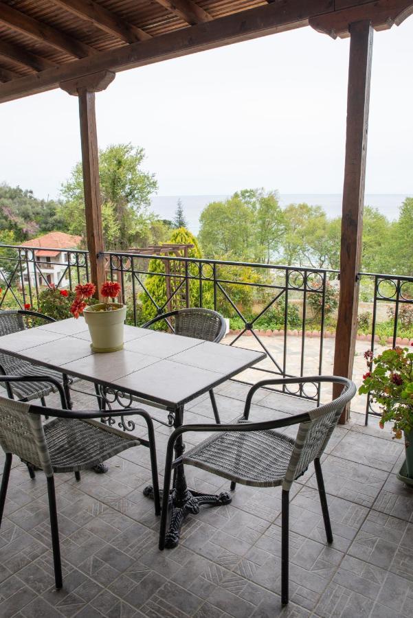 Villa Eleni's House Chorefto Zagora